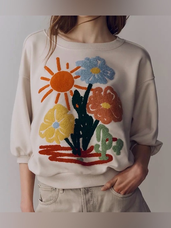 Anthropologie Tops - Anthropologie Pilcro Niki Bubble Embroidered Pullover